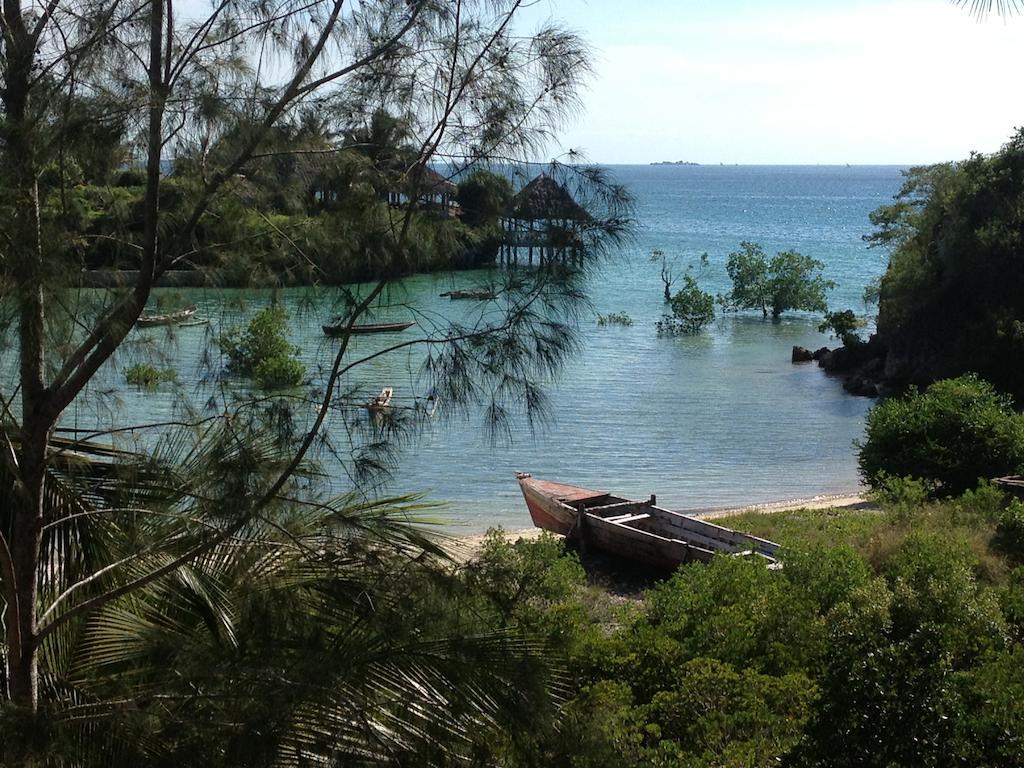 Mangrove Lodge Zanzibar Bagian luar foto