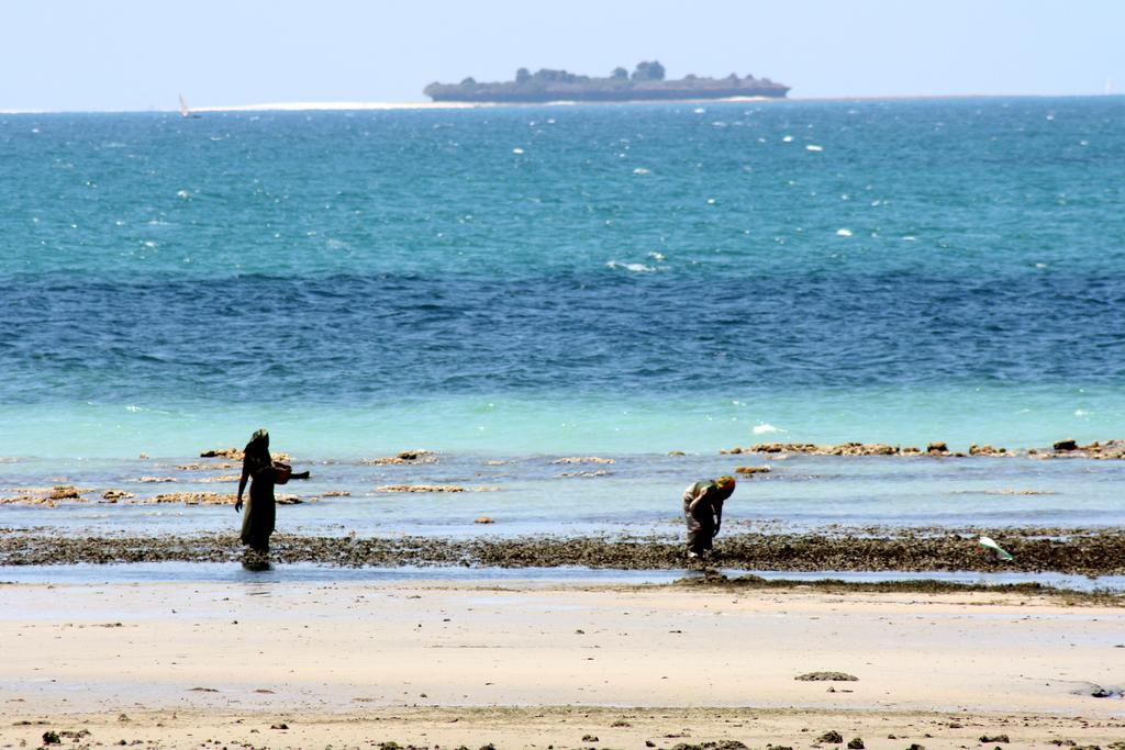 Mangrove Lodge Zanzibar Bagian luar foto