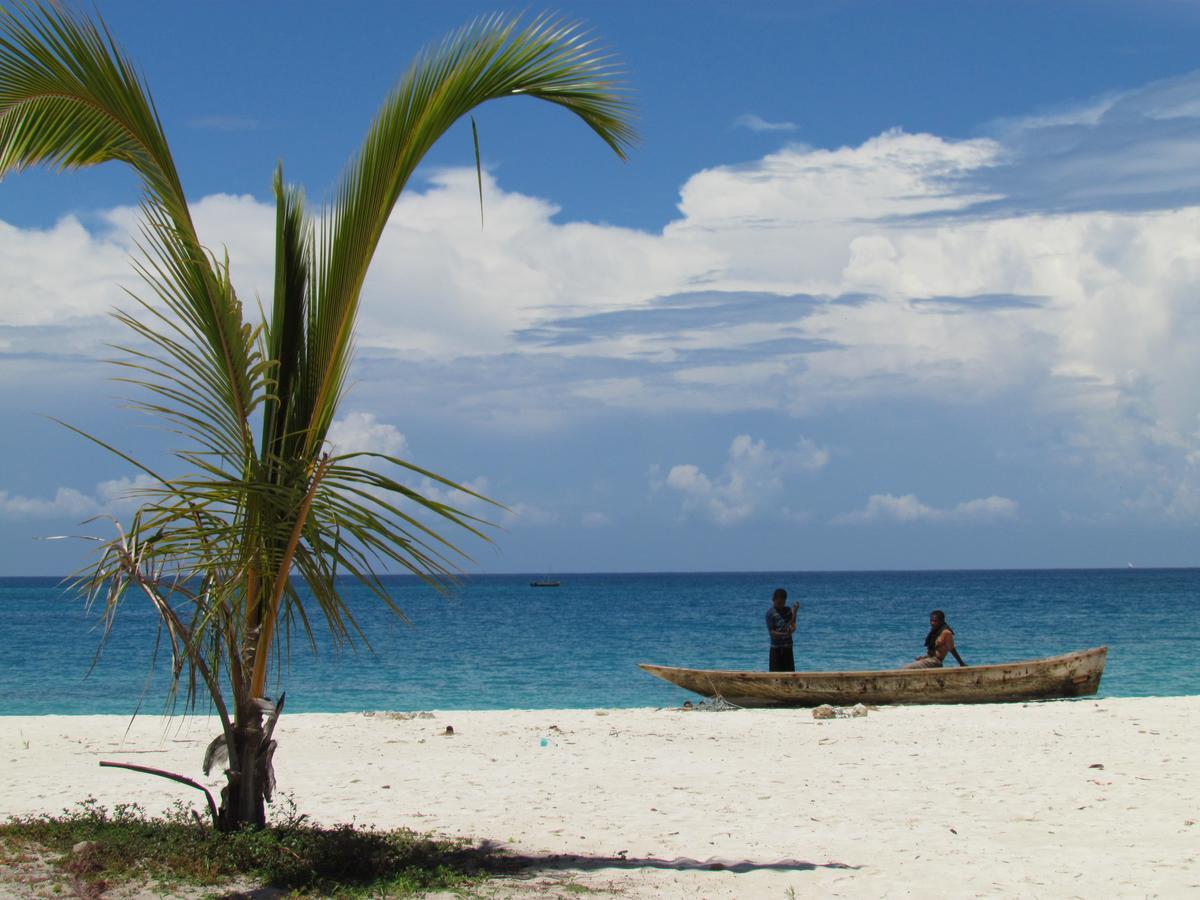 Mangrove Lodge Zanzibar Bagian luar foto